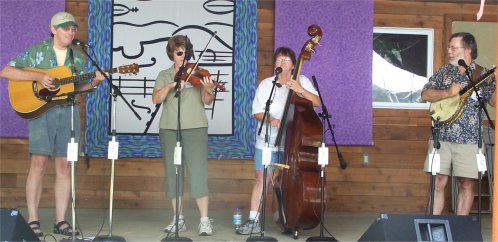 Falling Branch String Band