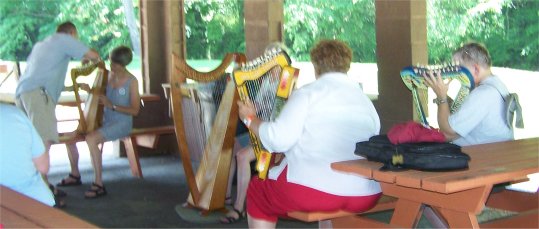 Folk Harp